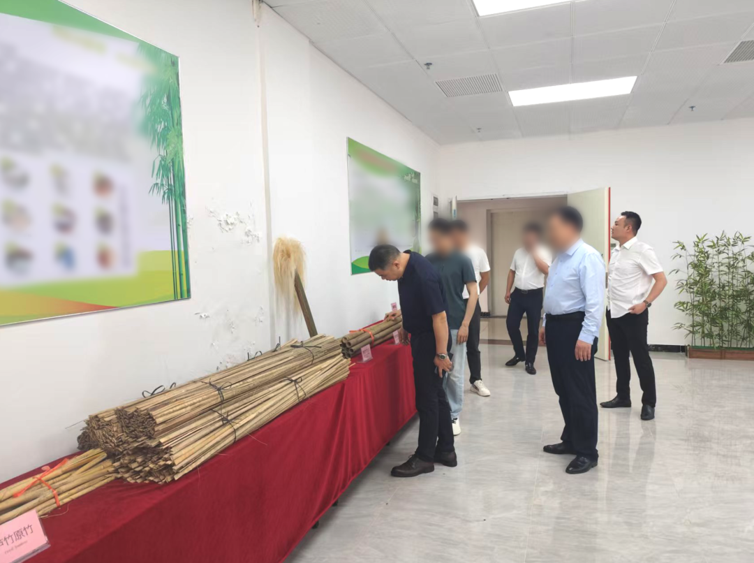 研發(fā)實力雄厚，行業(yè)知名度高！湖南某地方政府實地對接高附加值竹纖維生產(chǎn)擴建投資選址項目
